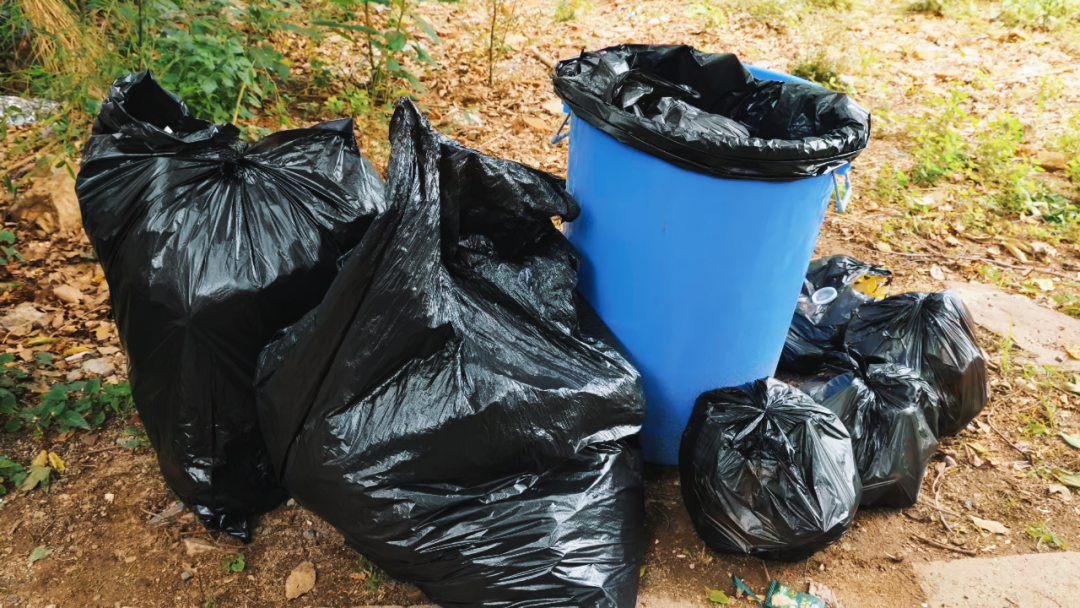 世界环境日 | 金年会开展2025公益净山活动 世界环境日 | 金年会开展2025公益净山活动